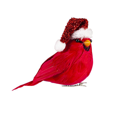 Ornement en forme de carte de vœux Cardinal avec chapeau de père Noël