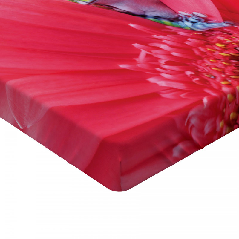Microfiber Fitted Sheet, Twin XL Fitted Sheet
