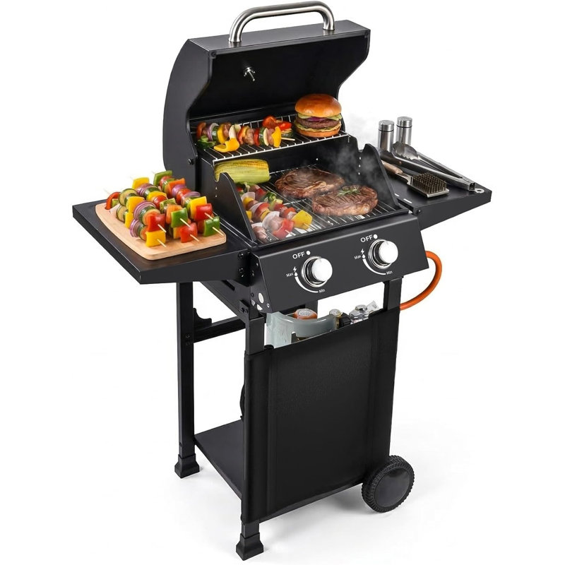 Barbecue au propane à 2 brûleurs, barbecue de 16 000 BTU avec tablettes latérales pour le patio