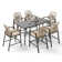 6 - Person Rectangular Outdoor Dining Set With Cushions
