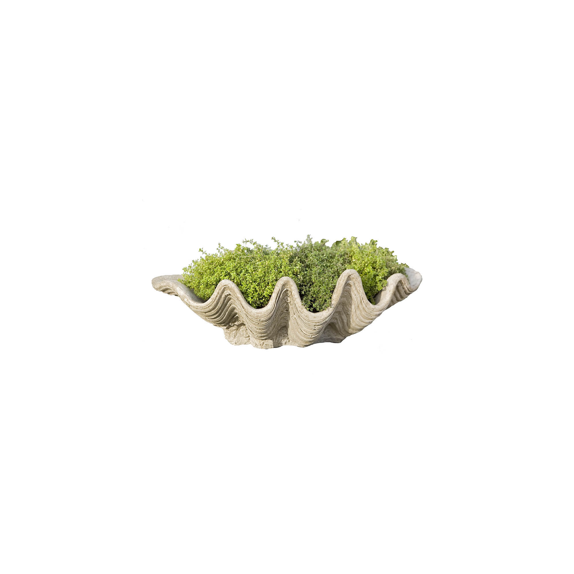 Handmade Pot Planter, Alpine Stone