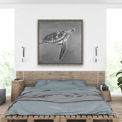 Grayscale Aquatic Turtle - Gray Coastal Framed Canvas Art