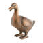 Statues de jardin Hulme Duck Family with Mother and Three Babies