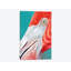 «Flamingo», impression sur toile-29037996-72721515-72721511