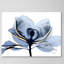 Golden Midnight 2 - Wrapped Canvas Print-1746354812