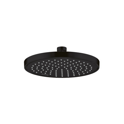 Rain Fixed Shower Head
