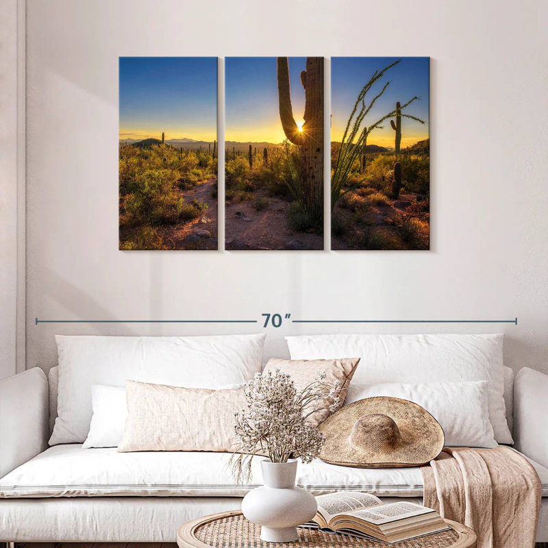 Coucher de soleil sur le parc national Harnek Saguaro, H 28 po x l 45 po