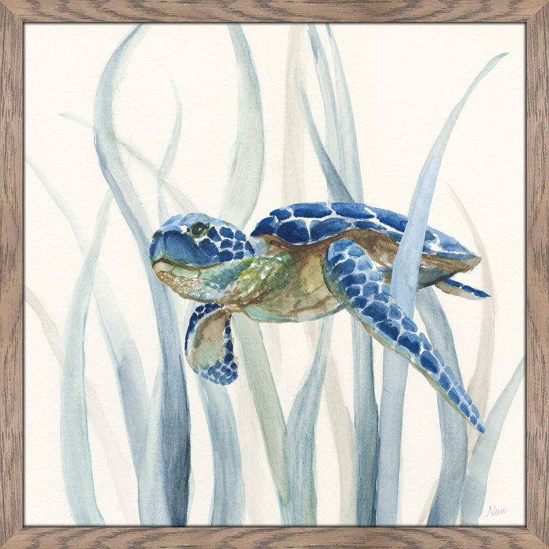 «Turtle In Seagrass II» par Nan - reproduction de peinture encadrée, H 37,5 po x l 37,5 po x P 1 po