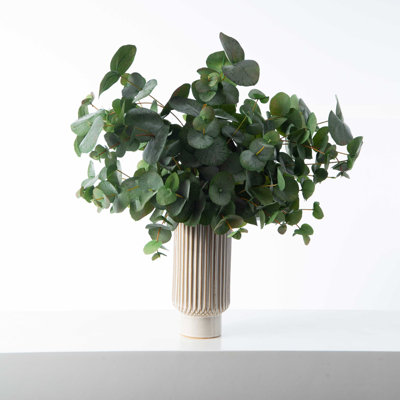 Eucalyptus dans un vase