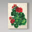 «Red Geranium» par Dartis, art textuel sur toile tendue-25331685