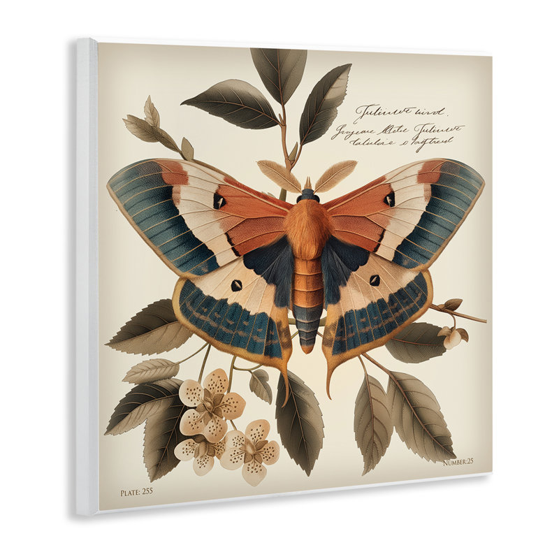 «Enchanting Moth & Plant», art mural sur bois par Steve Huntziker