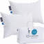 Coussin Goose-33578484