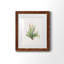 Gardenaire I - Peinture encadrée-291723559-291723576