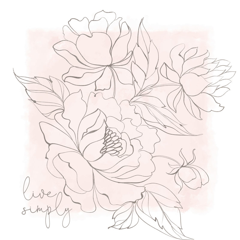 Pink And Grey Flower Sketch - Wrapped Canvas Painting, 91cm H x 91cm W x 3.8cm D