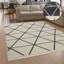 Lubomir Geometric Area Rug-340166399