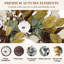63cm (25 Inch) Artificial Autumn Harvest Wreath for Front Door, Faux Wreath with Pumpkins, Pine Cones, Berries & Autumn Leaves, Indoor‑Outdoor Farmhouse Decoration for Wall, Window, Fireplace & Thanksgiving Home Décor