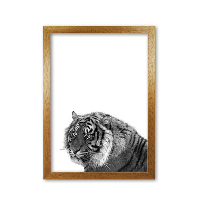 Tiger - Print