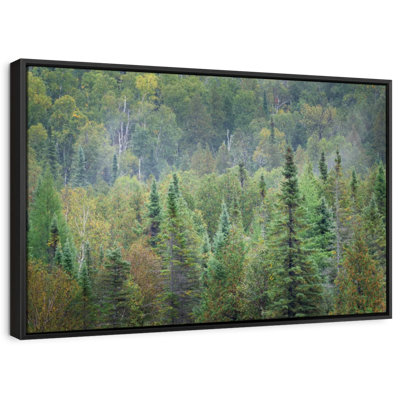 " Superior National Forest Canvas Print "
