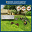Chicken Run with Wire Mesh