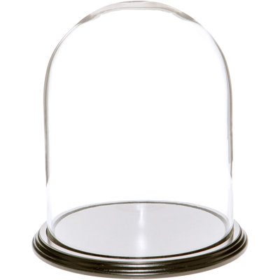 Jenett Glass Display Dome Cloche