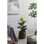 Petit pot de fleurs d'intérieur en ciment 12,6 x 12,6 x 11,8 po