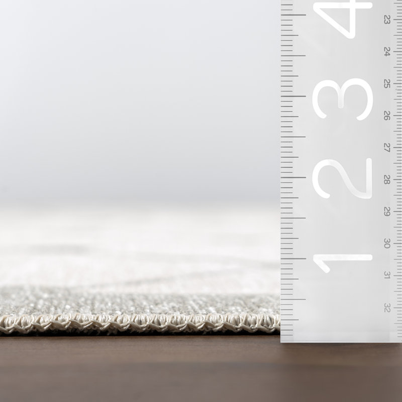 Amiyah Reversible Machine Washable Area Rug, Rectangle 4' x 6'