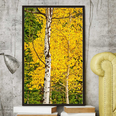 «Sunny Blooms», reproduction de photo