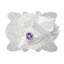 Peacock Placemat-590325595