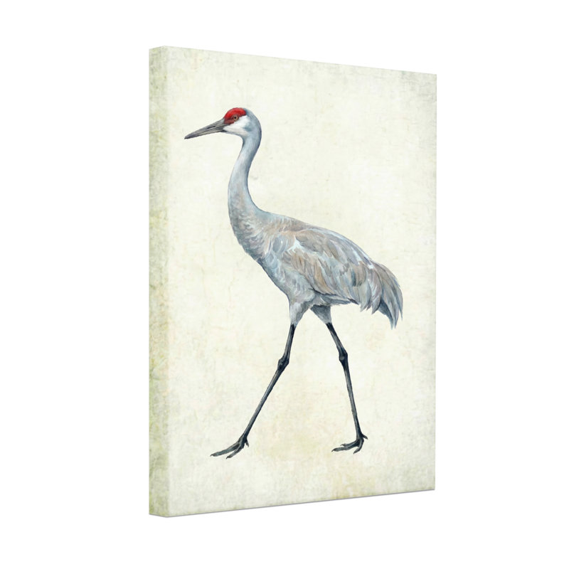Animaux, grue du Canada marchant sur toile, H 18 po x l 12 po
