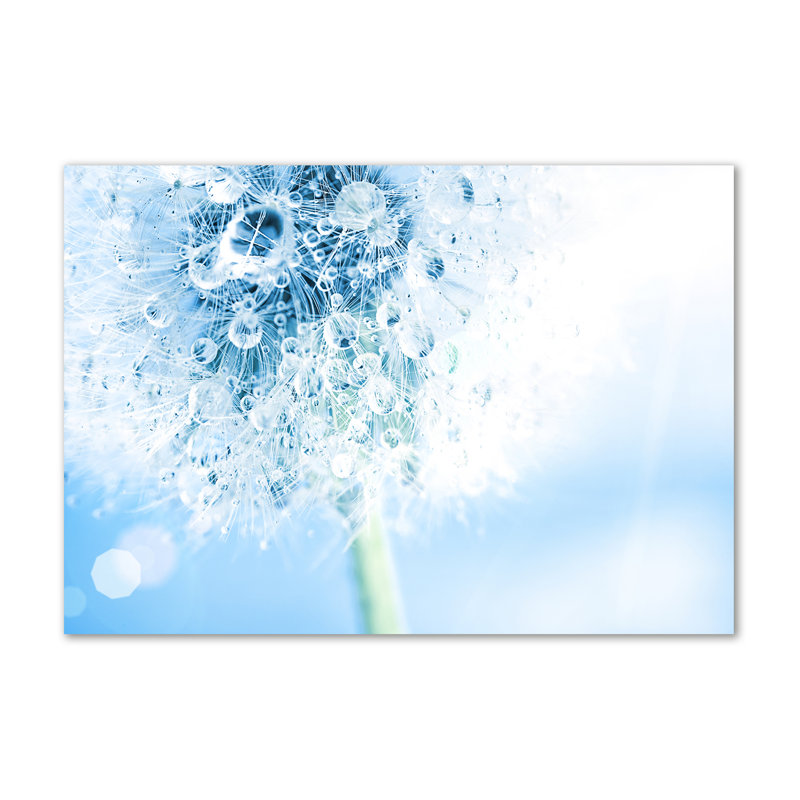 Dandelion - Wrapped Canvas Print