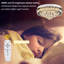 Fecteau LED Flush Mount