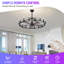 Lustre en roue de chariot 41 "avec ventilateur-21056356