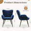 Velvet Armchair-1620393354
