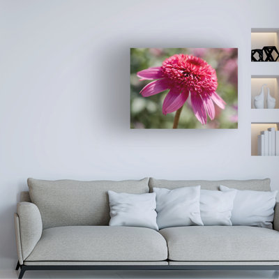 Art sur toile «bolus Suzanne Bonin»
