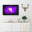 Jellyfish Paint Splash - Wrapped Canvas-56667390