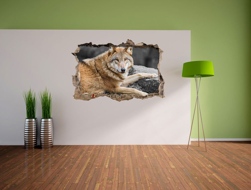 Wandtattoo Wundervoller Wolf mit braunem Fell