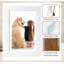 Matte Picture Frame-1508113487