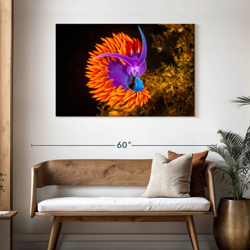 Crowle Spanish Shawl Nudibranch, 30" H x 45" W