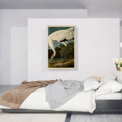 «Whoopard Crane» par James Audubon, reproduction d'art sur toile tendue