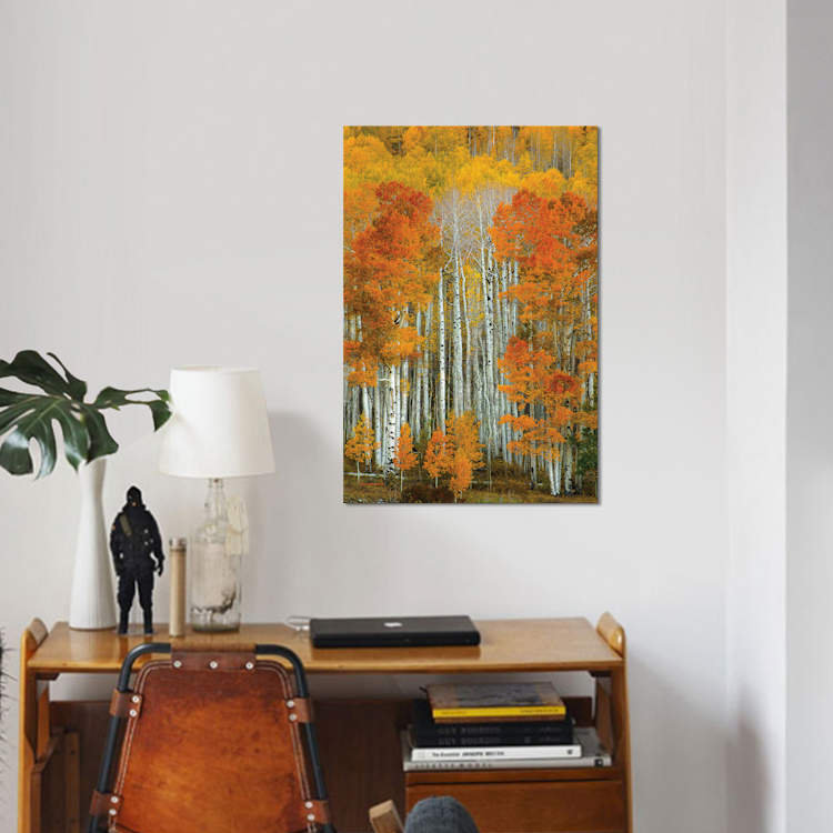 « dalmatien automne » par bill sherrell, reproduction d’impression sur toile tendue, H 12 po x l 8 po x P 0,75 po