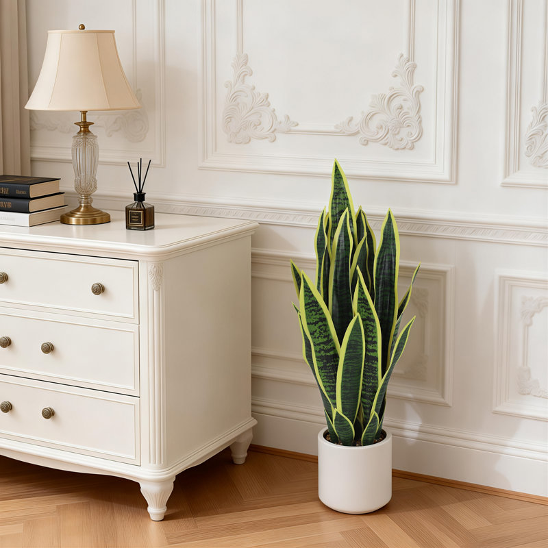 17.5cm Plant, 17.5cm H x 17cm W x 70cm D