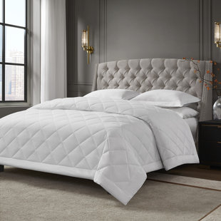 Cotton Premium Blanket (Set of 2)