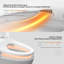 VIBRANTBATH GPF Elongated Bidet Toilet (Seat Included)