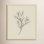 Line Drawn Flowers 1 by Border Bloom - Picture Frame Art