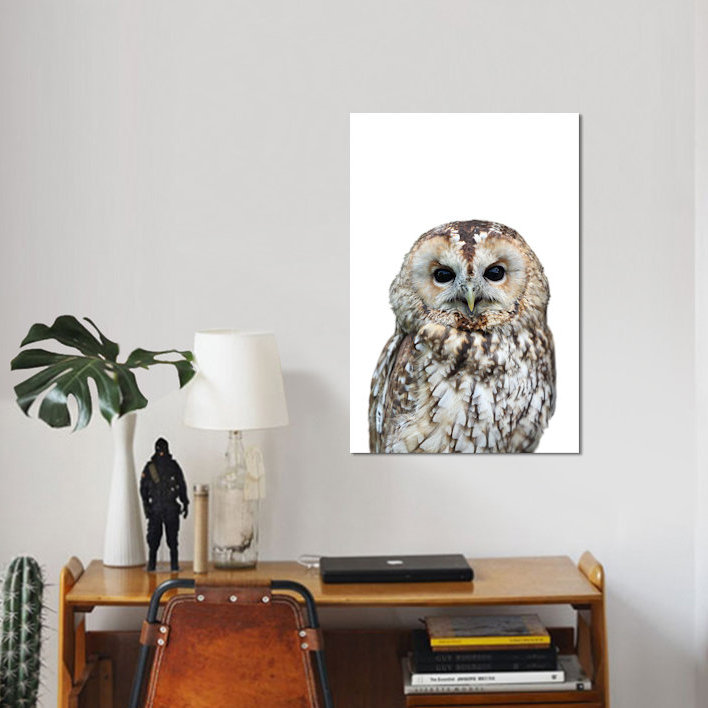 « hibou », impression sur toile, H 26 po x l 18 po x P 1,5 po, Toile tendue, Pas de tapis