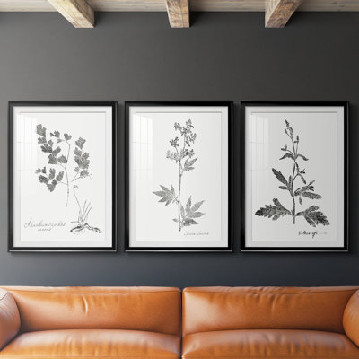Botanical Imprint I - Impression personnalisée de qualité supérieure avec cadre mat - 3 pièces