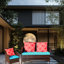 4 chaises de patio avec coussins bleus - eau, coussins bruns d'extérieur confortables,