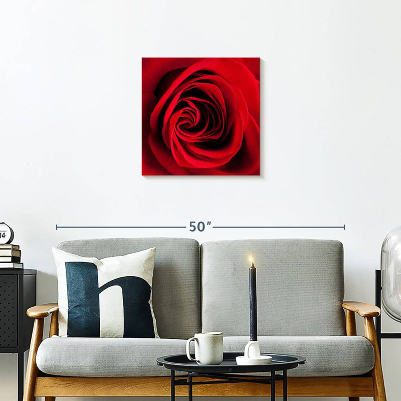 Rose rouge Harnek en fleurs, H 20 po x l 20 po