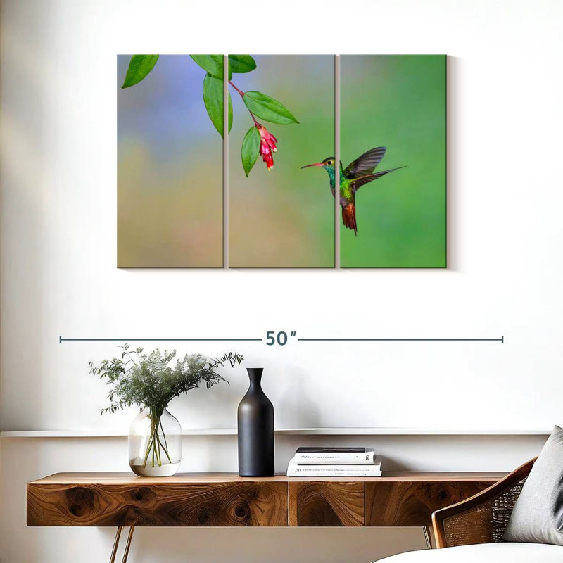 Brampt Rufous Tailed Hummingbird, 24" H x 38" W