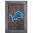 Detroit Lions